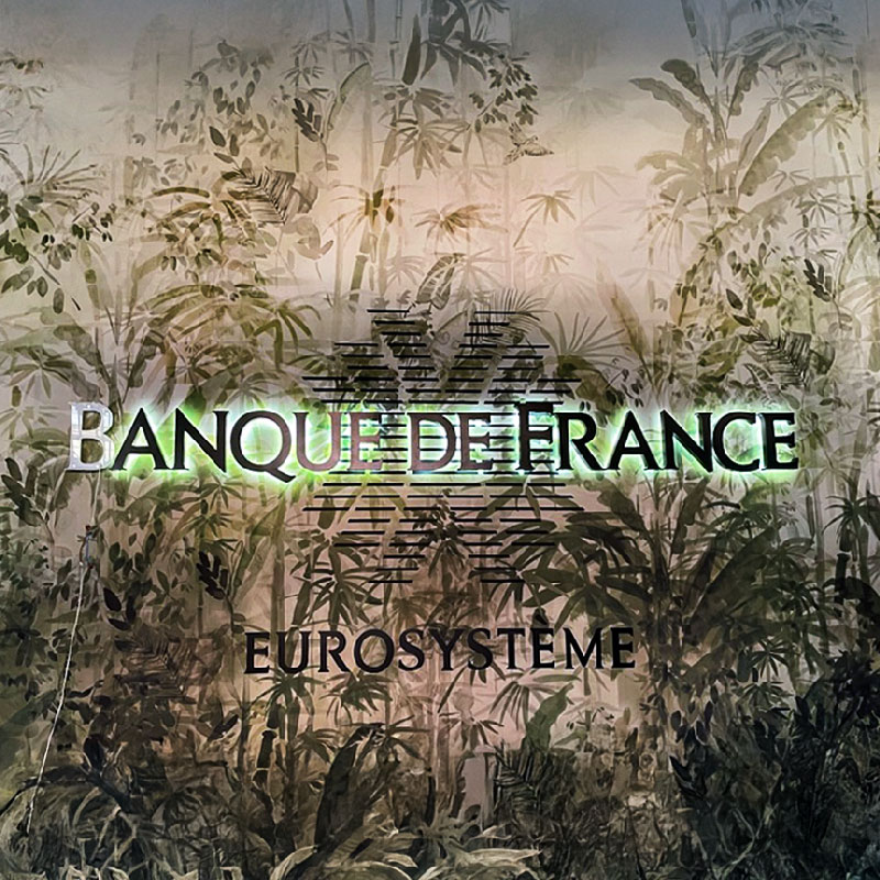 Enseigne murale lumineuse rétroéclairée par LED, lettres boîtiers posées sur un mur décoratif à motif tropical.